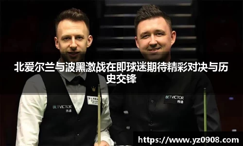 北爱尔兰与波黑激战在即球迷期待精彩对决与历史交锋