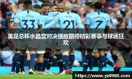 英足总杯水晶宫对决强敌期待精彩赛事与球迷狂欢