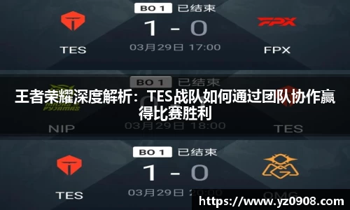 王者荣耀深度解析：TES战队如何通过团队协作赢得比赛胜利